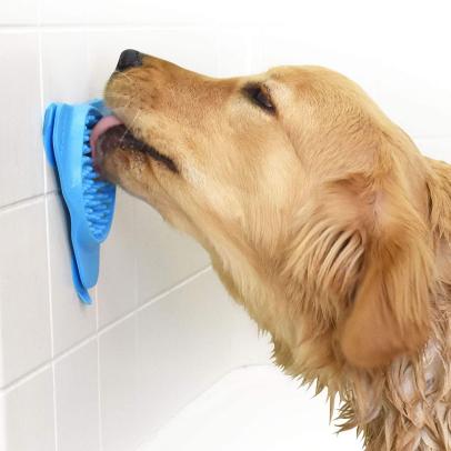 Dog sales grooming essentials