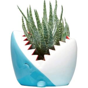 Ceramic Shark Planter