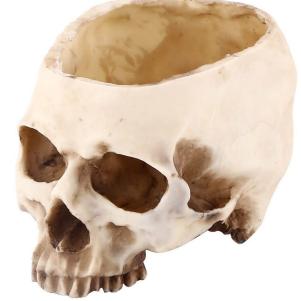 Skull Flowerpot