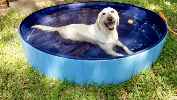 15 Best Inflatable Pools For Your Backyard Hgtv
