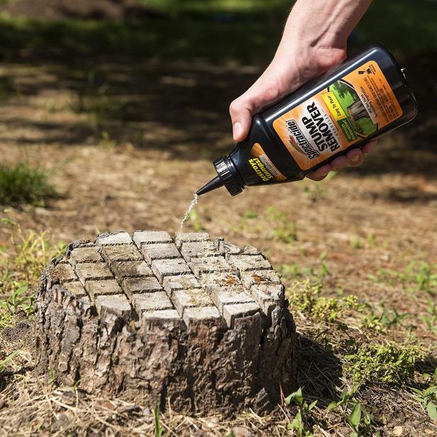 Stump Removal: How to Remove a Stump Without a Grinder