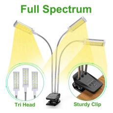 Grow Lights For Indoor Plants Hgtv
