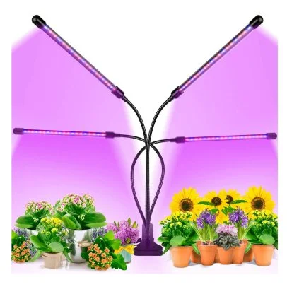 Plant Grow Lights How to Choose the Best Indoor Lighting for Plants HGTV