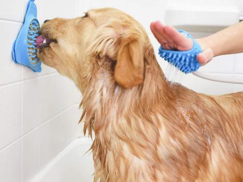 13 Pet Products You Didn't Know You Needed