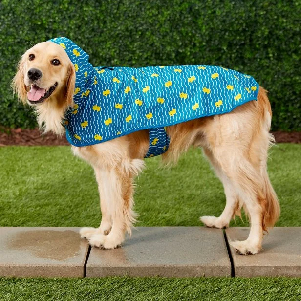 13 Clever Pet Products You Didn t Know You Needed HGTV