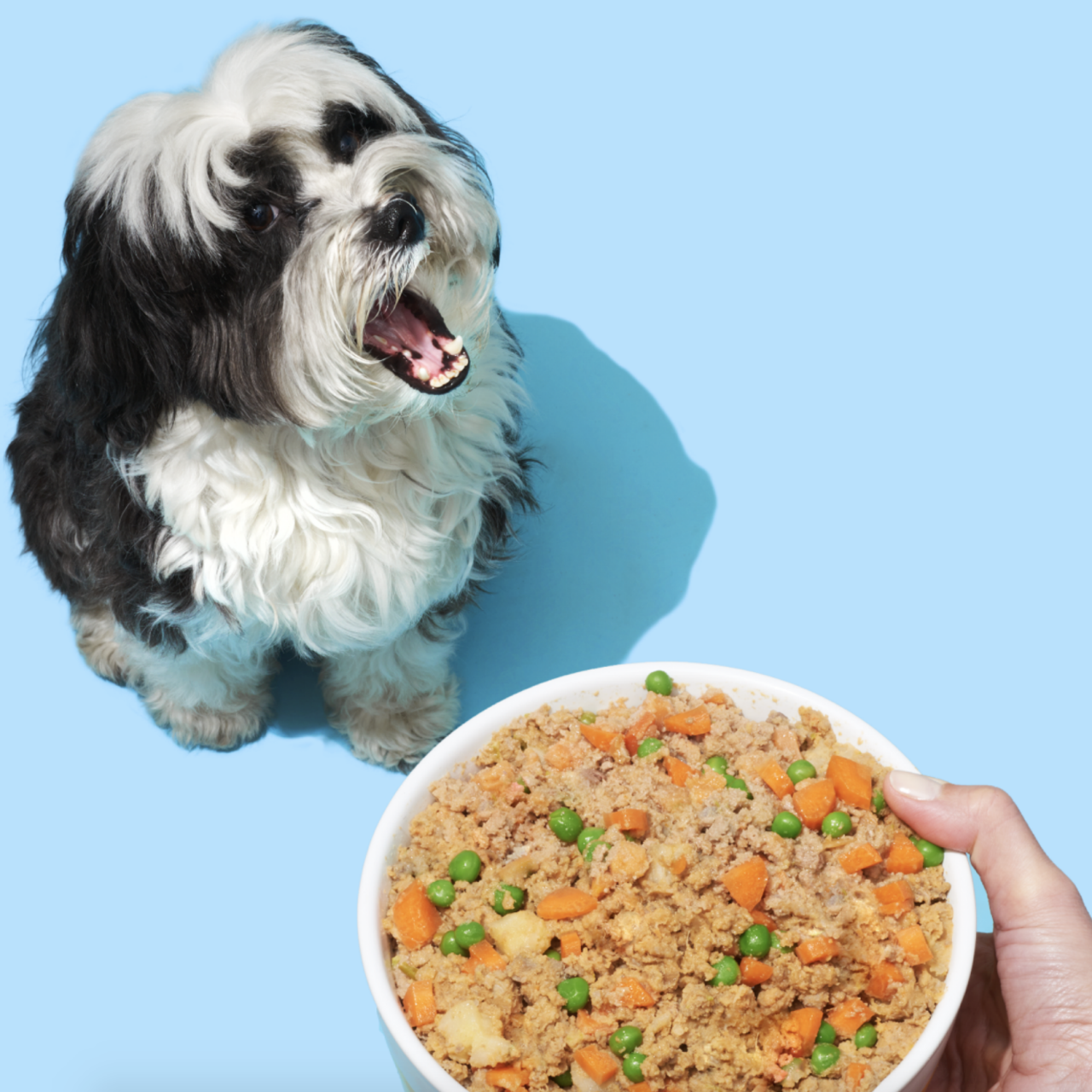 Pet food delivery business clearance