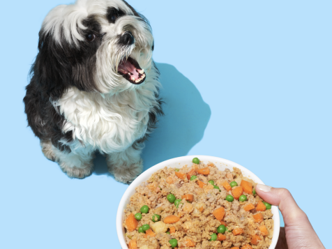 8 Dog Food Delivery Services That Make Mealtime a Breeze