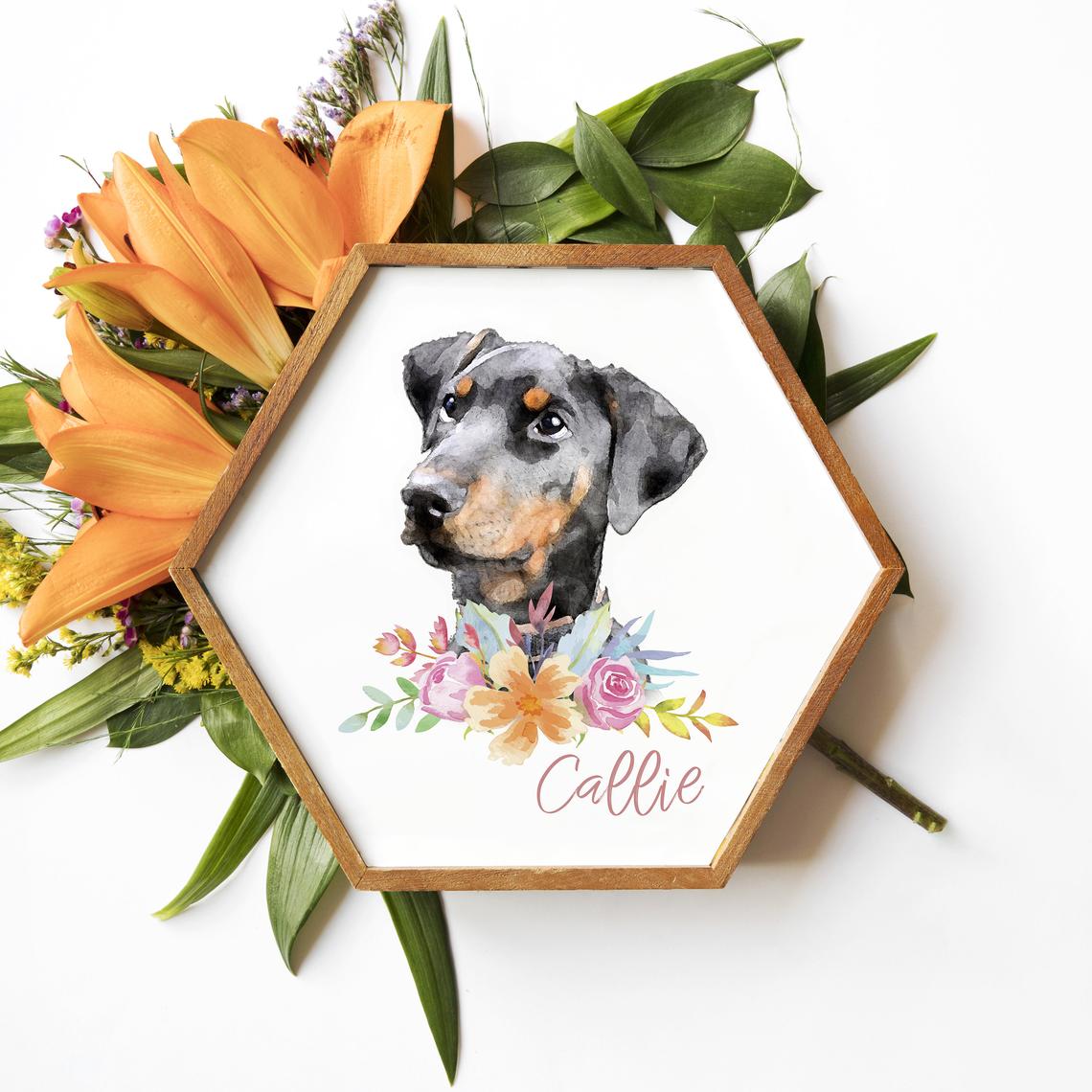 Personalized Pet Face Illustration