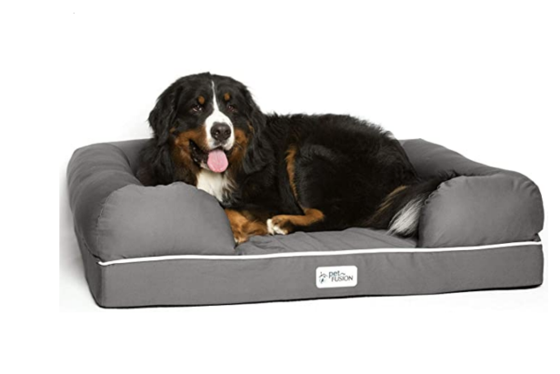 best dog beds for senior dogs