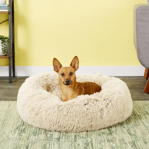 best dog beds for small dogs