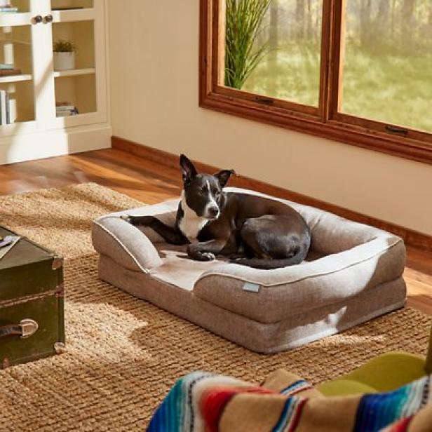 what is the most comfortable dog bed