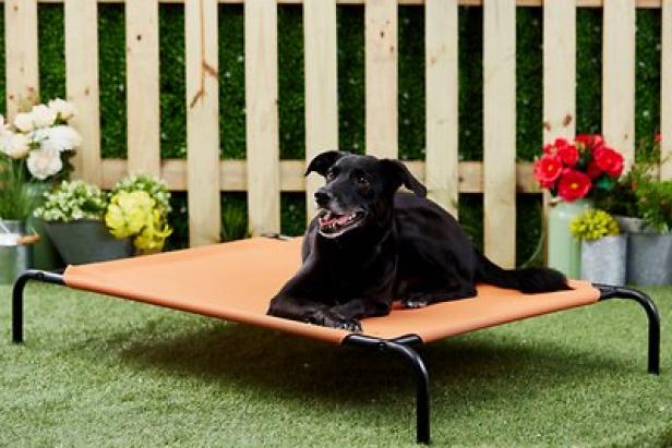 top rated cooling dog beds