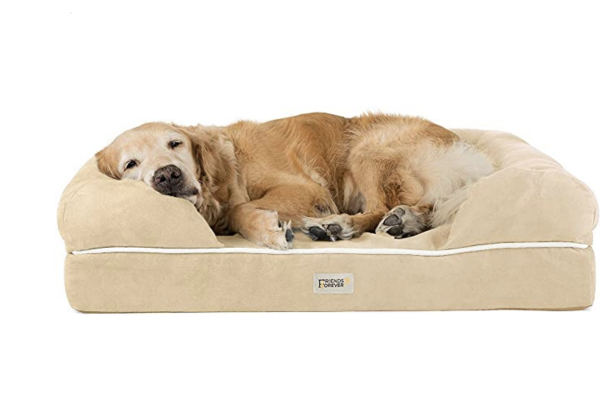 what kind of dog bed should i get