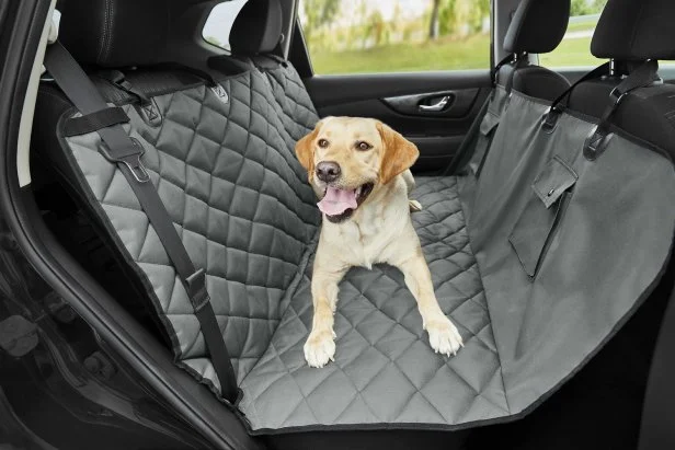 Car accessories for dogs discount