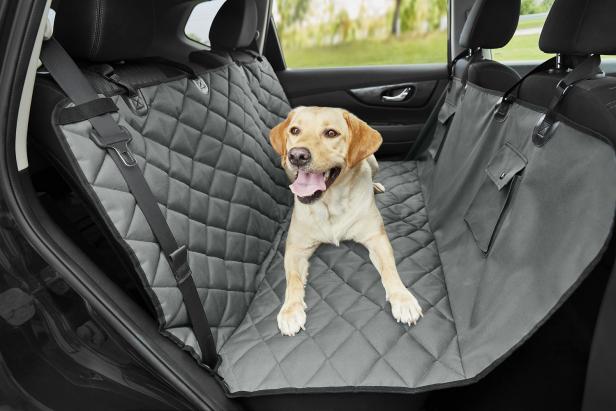 14 Best Pet Accessories For Your Car, Best Dog Car Seat For Long Trips