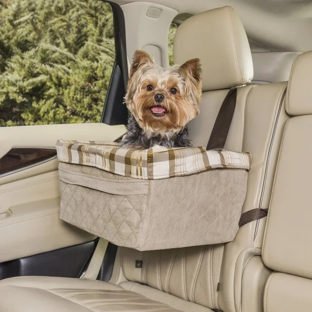 14 Best Pet Accessories for Your Car 2022 HGTV