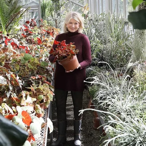 Captivating Martha Stewart Planting Photo in HD Captivating Martha Stewart Planting Photo in HD
