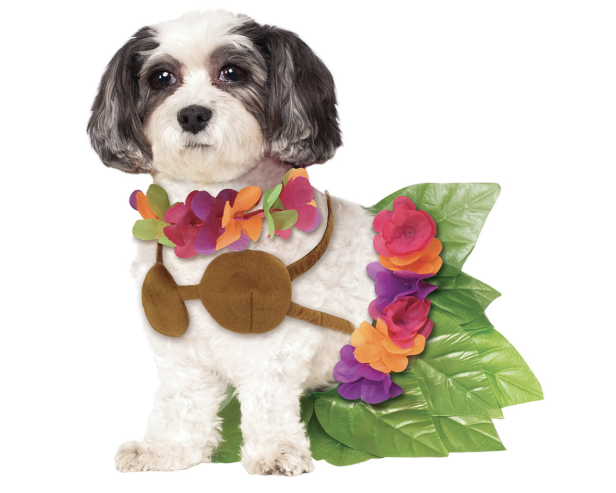 The Best Dog Costumes For 2020 Hgtv