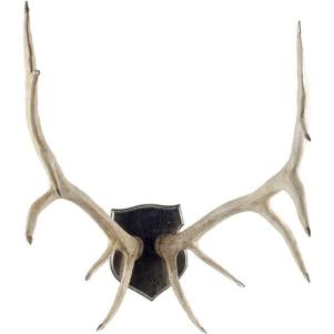 Natural Wall Decor