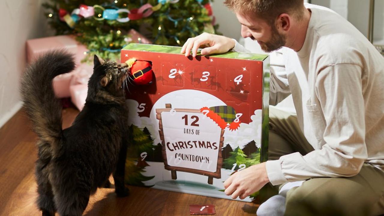 https://hgtvhome.sndimg.com/content/dam/images/hgtv/products/2021/11/15/rx_chewy_frisco-holiday-12-days-of-christmas-cardboard-advent-calendar-with-cat-toys.jpeg.rend.hgtvcom.1280.720.suffix/1636996006229.jpeg