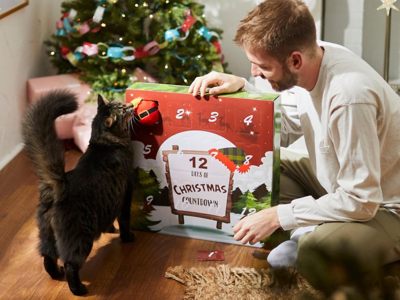 The 12 Best Holiday Pet Gifts For Dogs, Cats, and More!