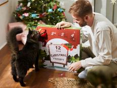 Don't forget about your best feline friend or your favorite cat person this holiday season.