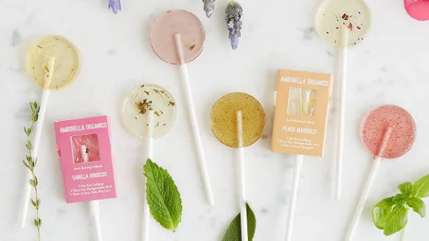 The Best Gifts for Plant Lovers