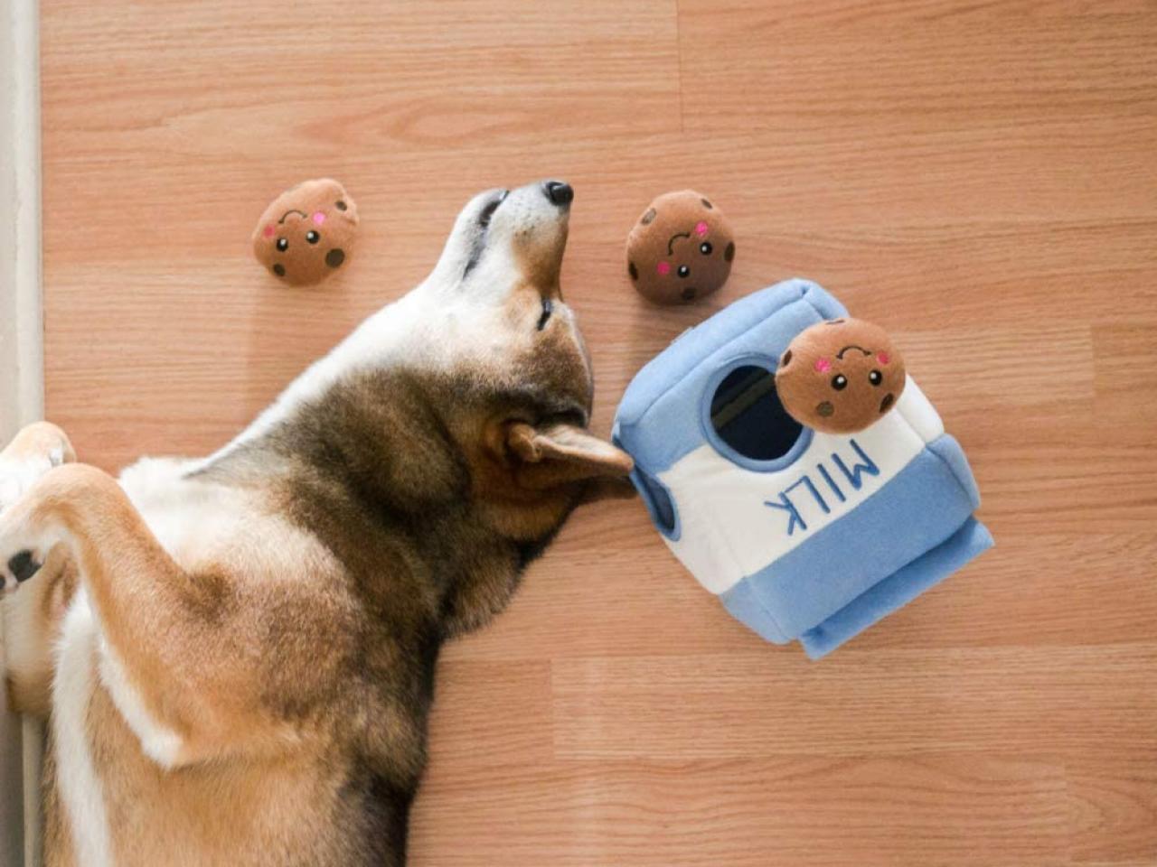 12 best dog toys to spoil your pup in 2023