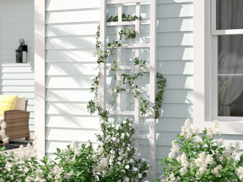 11 Great Garden Trellises for Climbing Vines, Blooms and Vegetables