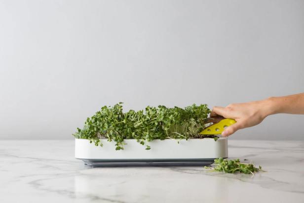 11 Best Indoor Herb Garden Kits 2021 - Indoor Herb Garden Kit Bed Bath And Beyond