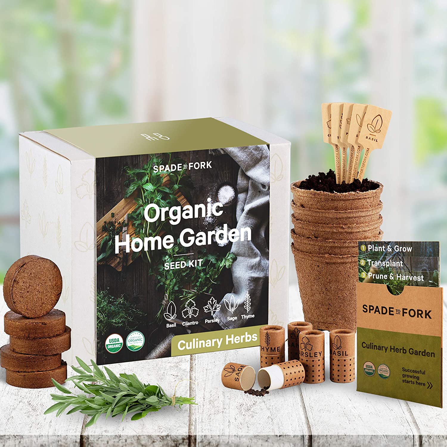 Grow It Coffee Starter Set Kit Gift Adult Gardening Grow Your Own 