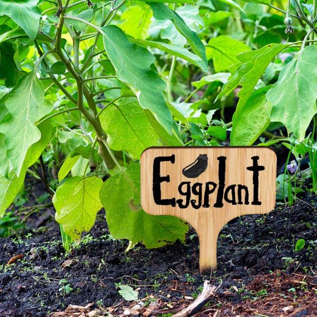 25 Best Garden Tools and Garden Essentials in 2022 | HGTV