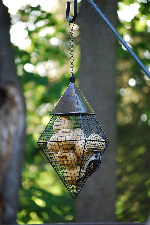 35 Best Bird Feeders in 2021 HGTV