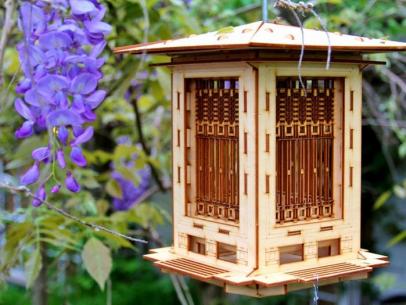 35 Best Bird Feeders and Accessories for Your Yard