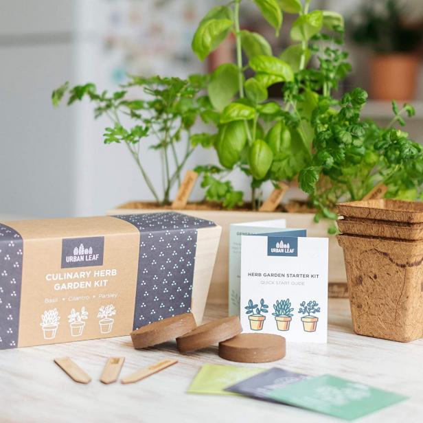 11 Best Indoor Herb Garden Kits 2021, 9 Herb Window Garden Indoor Organic Growing Kit