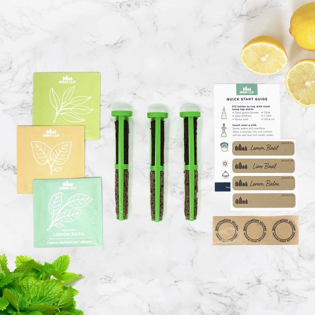 10 Best Garden Starter Kits 2021 Hgtv