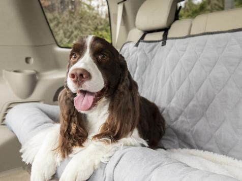 Our Top Picks for Keeping Your Pup Comfy + Secure on Car Trips