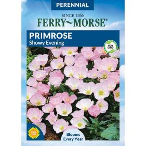 Ferry Morse Primrose Seeds