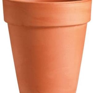 Tall Terracotta Pot