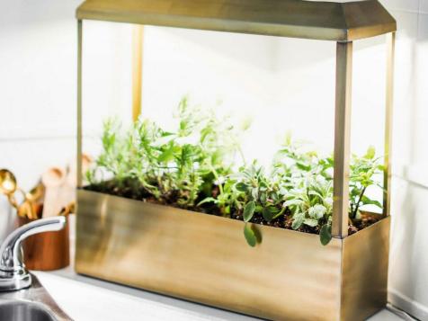 I Can Finally Grow Fresh Herbs Indoors Thanks to This Brass Kitchen Garden Growhouse