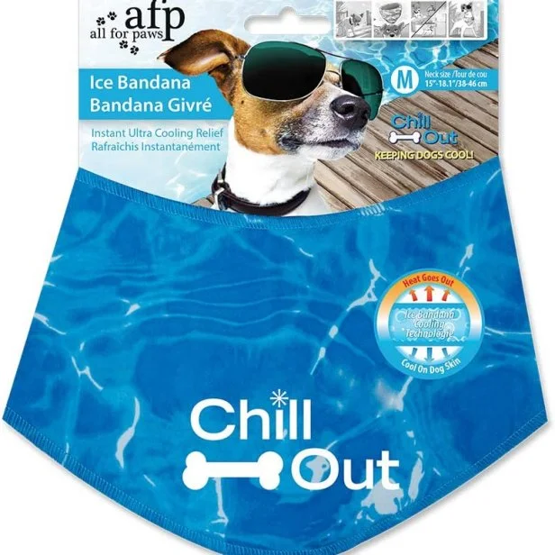 13 Products to Keep Your Dog Cool in Summer 2022 HGTV