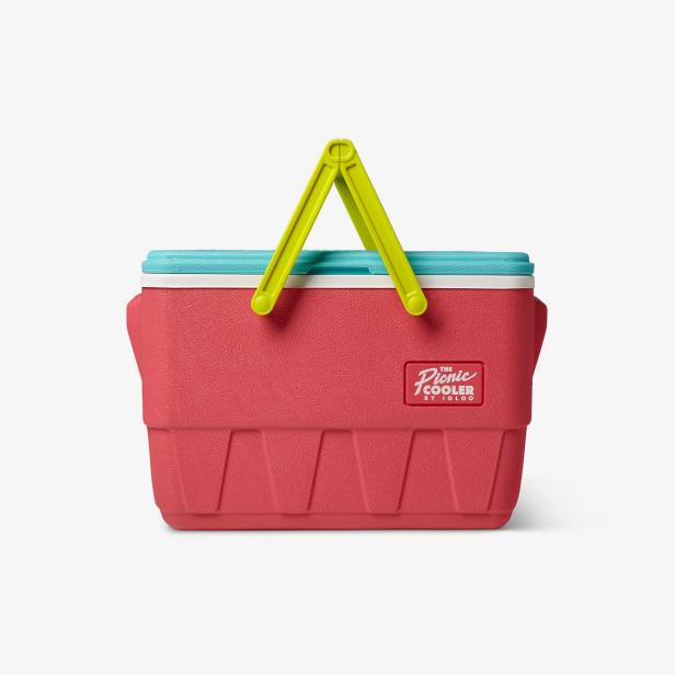 14 Best Coolers and Cooler Bags in 2021 | HGTV
