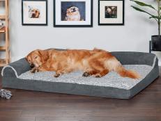 For pups who sleep belly up, curled up, sprawled out or on their side, these top-rated dog beds will ensure they get the best rest ever.