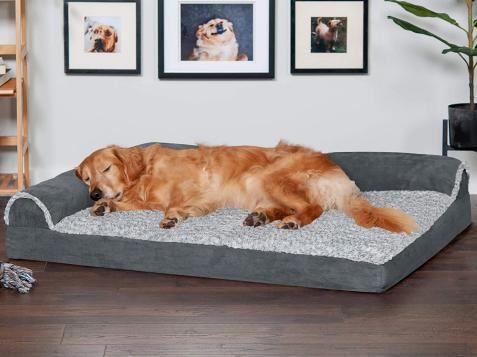 12 Best Dog Beds for Every Pup's Needs