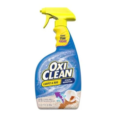 Best Carpet Stain Removers 2025 Reviewed HGTV