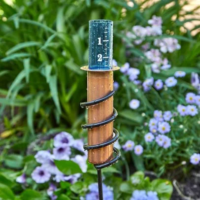 The Best Budget-Friendly Outdoor and Garden Accessories