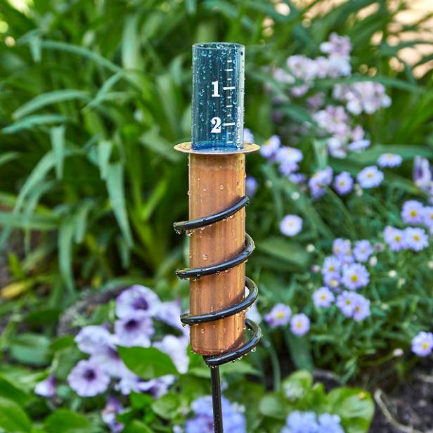 https://hgtvhome.sndimg.com/content/dam/images/hgtv/products/2021/5/18/rx_uncommon-goods_copper-rain-gauge.jpeg.rend.hgtvcom.616.616.suffix/1621350640552.jpeg