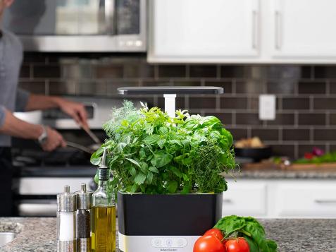 This Tabletop Hydroponic Garden Is Totally Worth the Price