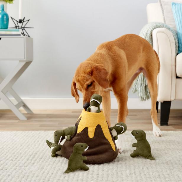Best Dog Toys For Large Breeds - Our Top Picks Reviewed