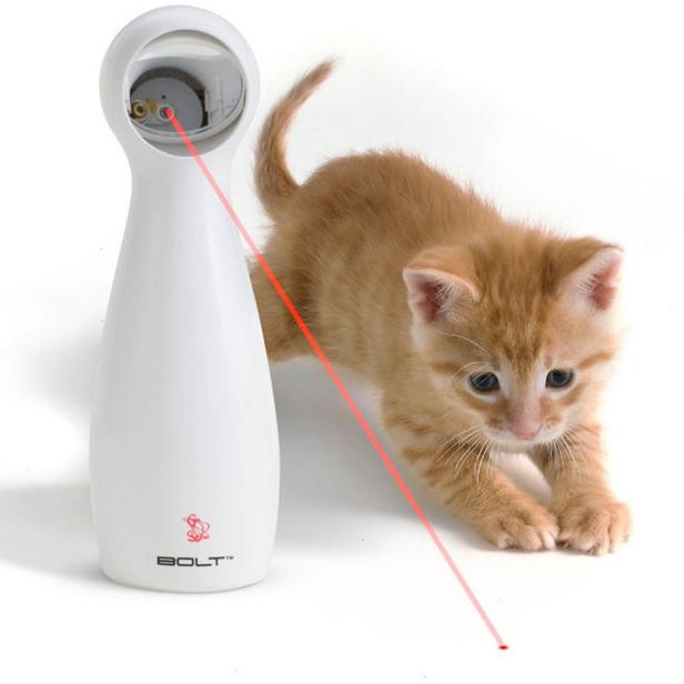 Best Cat Toys 2022 | HGTV
